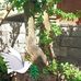 Wendi Ani - Facebook