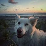 Wendi Bailey - @baileywendi - Instagram