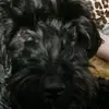 Wendy Bryant - @wendy.bryant4 - TikTok