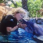 Wendi Cook - @cookwendi - Instagram