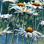 Wendy Cook - @wendy_cook_art_australia - Instagram