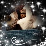 Wendi Cunningham - @dubya0169 - Instagram