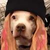 Wendy Foley - @wendymarie1582 - TikTok