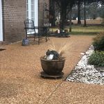 Wendi Franks - @wendifranks4 - Instagram