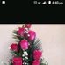 Wendi Marilu Frank - Facebook