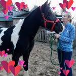 Wendy Haislip - @haislipwendy - Instagram