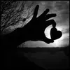 Wendi Jones253 - @wendijones333 - TikTok