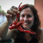 Wendi Jones Foster - @wendi_jonesfoster - Instagram