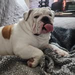 Wendy Kane - @hillbillies_mommy - Instagram