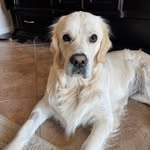 Wendy Kane - @wendykane58 - Instagram