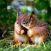 Wendy Keller - Facebook