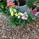 Wendy Marks - @wendimarks - Instagram