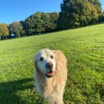 Wendy Mason - @wendymason440 - Instagram