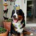 Wendi Meyer - Facebook