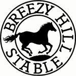 Wendy Murphy - @breezyhillstablesga - Instagram