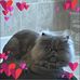 Wendi Powers - Facebook