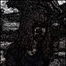 Wendi Ross - Facebook