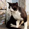 Wendy Schaefer957 - @schaefer117 - TikTok