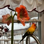 Wendy Schaefer - Facebook