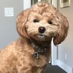 Wendy Schaefer McMahon - @mcmahwr - Instagram