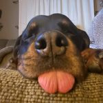 Wendy Schultz - @schultzfam99 - Instagram
