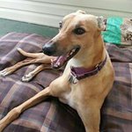 Wendy Schultz Sharer - @wendysharer - Instagram