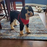 Wendy Singleton - @wsingleton51 - Instagram