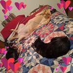 Wendy Singleton - @wlsing73 - Instagram