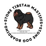 Wendy Stone - @stoneboardingandmastiff - Instagram