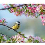 Wendy Summers - @wendy.summers.7 - Instagram