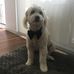 Wendy Sutherland - Facebook