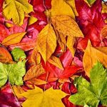 Wendi Sandt Sutton - @wasutton0129 - Instagram