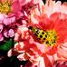 Wendi Wall - Facebook