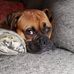 Wendy Wallace - Facebook