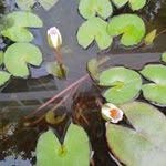 Wendi Wan - @wendiwan - Instagram