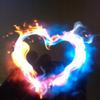 Wendi Webster - @wendi.webster - TikTok