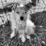 Wendy Wise - @wendywisespaces - Instagram