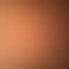 wendii.wolfee - @wendii.wolfee - TikTok