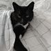 Wendy Workman - Facebook