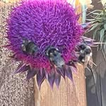 Wendi Johnson - @wendi.young.75 - Instagram