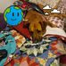 Wendy Aaron - Facebook