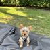 Wendy Abbott - Facebook