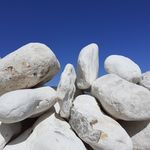 Wendy Abbott - @wabbottartist - Instagram