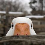 Wendy Abramson - @wendyabramson21 - Instagram