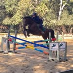 Wendy Agin Ackerman - @wendyackerman518 - Instagram