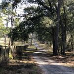 Tim and Wendy Ackerman - @ackerman_acres - Instagram