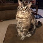 Wendy Ackerman - @wendy.ackerman701 - Instagram