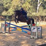Wendy Agin Ackerman - @wendyackerman518 - Instagram