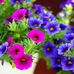 Wendy Adames - Facebook