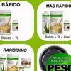 Wendy Adames - @wadames - TikTok